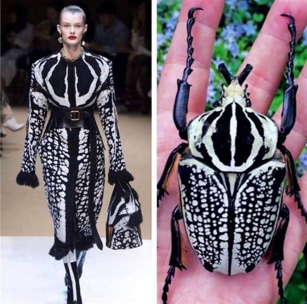 Klyker Picdump #1246 (55 photos)