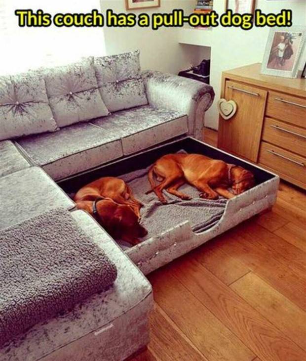 Klyker Picdump #1247 (51 photos)