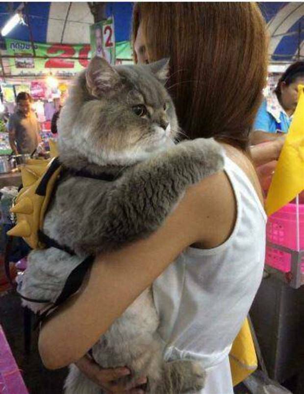 Klyker Picdump #1247 (51 photos)