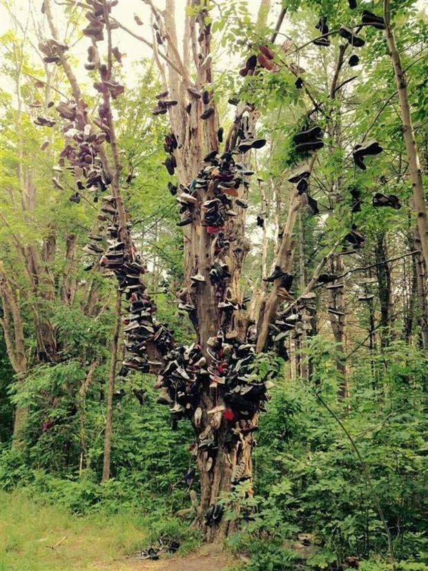 Klyker Picdump #1248 (52 photos)