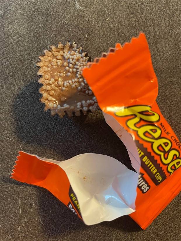 Klyker Picdump #1248 (52 photos)