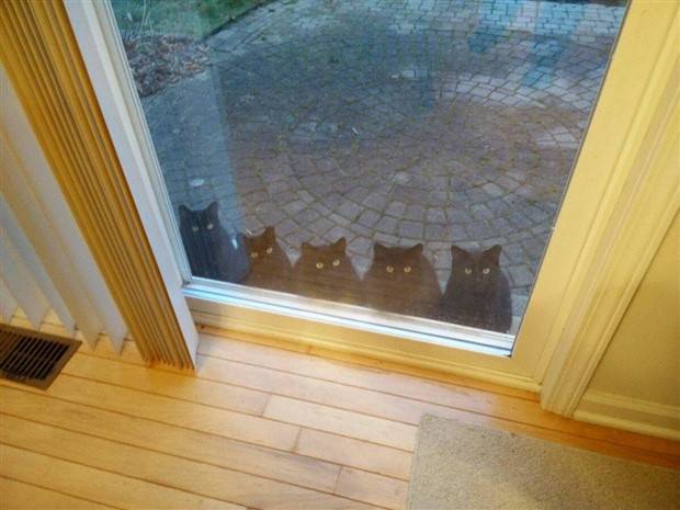 Klyker Picdump #1255 (55 photos)