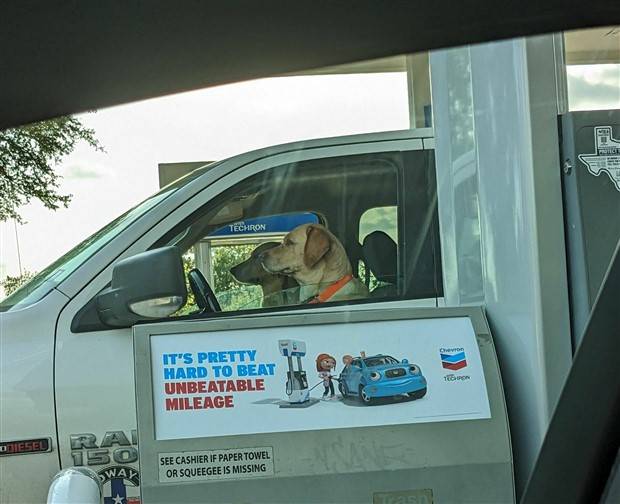 Klyker Picdump #1255 (55 photos)