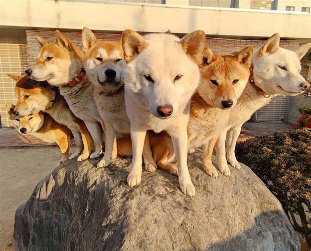 Klyker Picdump #1255 (55 photos)