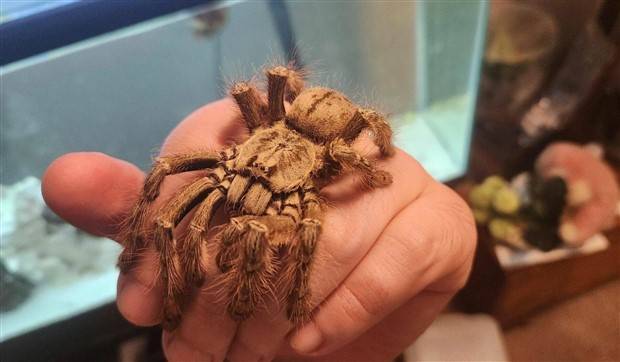 klyker picdump 7 3 2023 15 Klyker Picdump #1237 (51 photos)