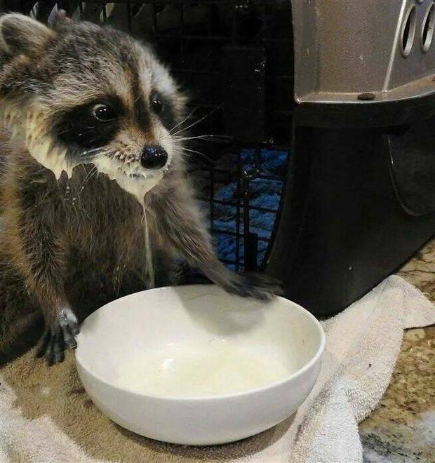 klyker picdump 7 3 2023 44 Klyker Picdump #1237 (51 photos)