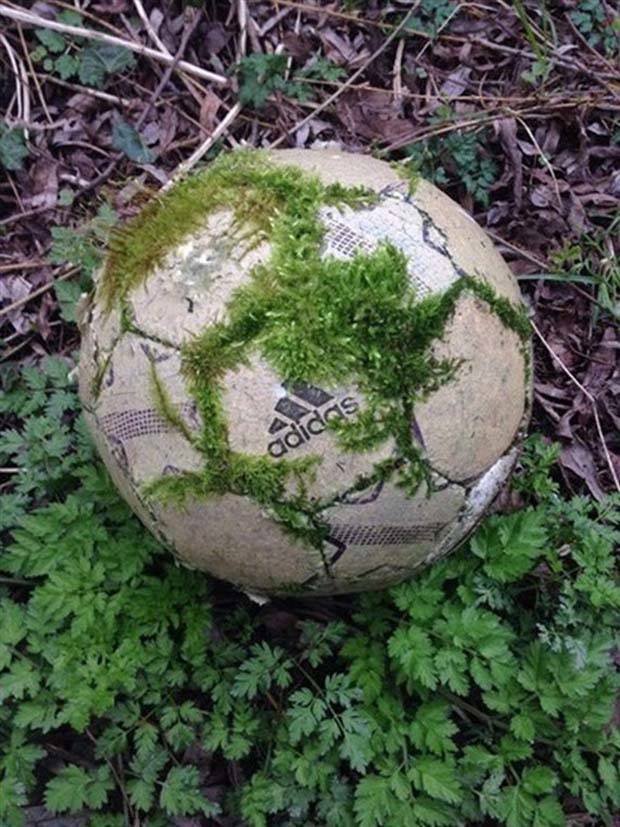 klyker picdump 7 3 2023 5 Klyker Picdump #1237 (51 photos)