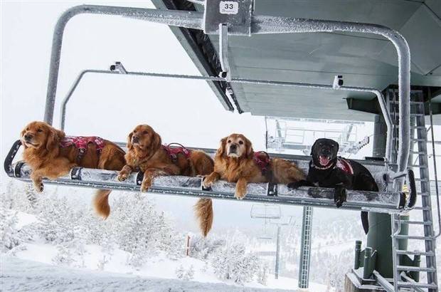 Klyker Picdump #1238 (52 photos)