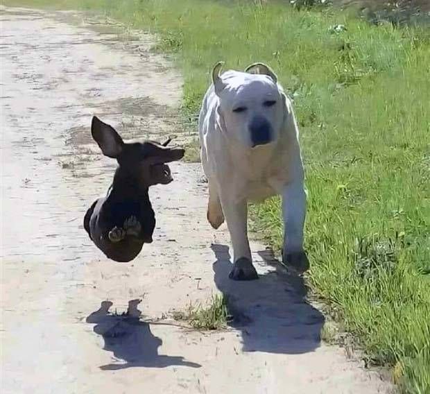 Klyker Picdump #1238 (52 photos)