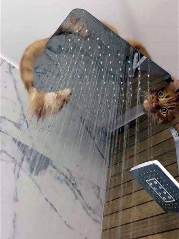 Klyker Picdump #1238 (52 photos)