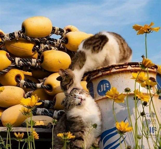 Klyker Picdump #1238 (52 photos)