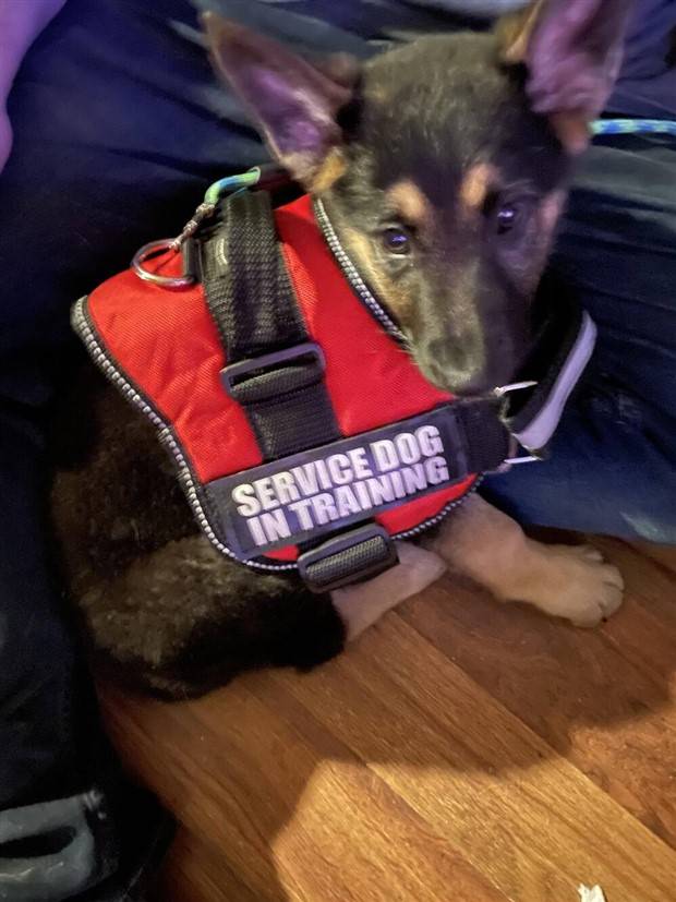 Klyker Picdump #1238 (52 photos)