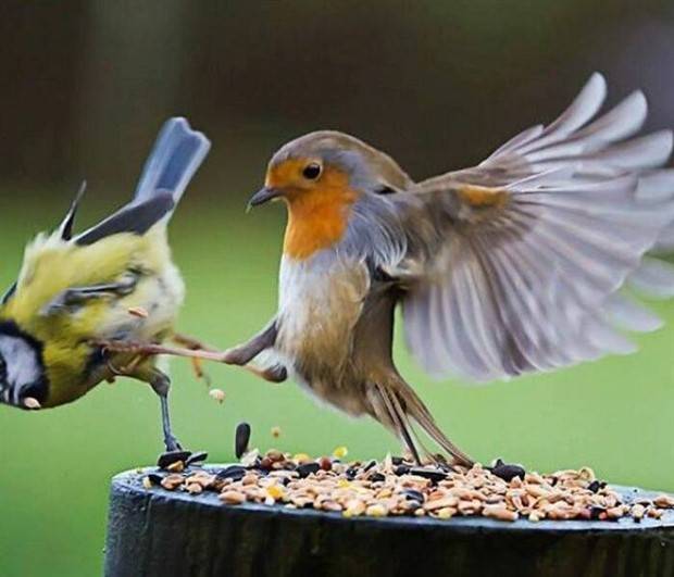 Klyker Picdump #1238 (52 photos)