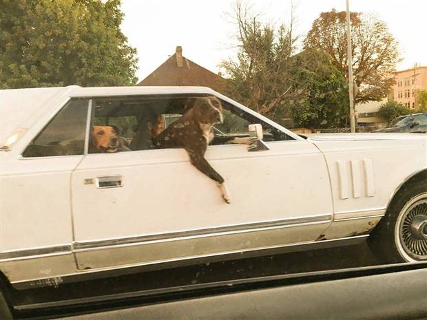 Klyker Picdump #1238 (52 photos)