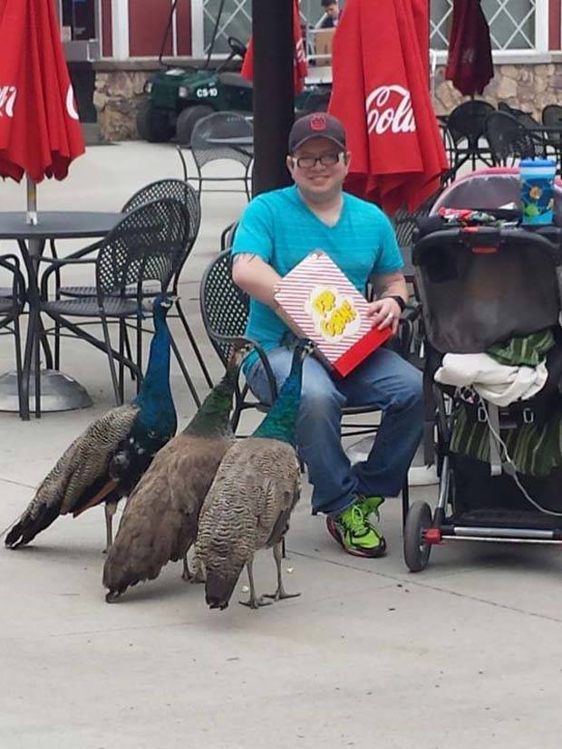 klyker picdump 7 5 2023 1 Klyker Picdump #1239 (53 photos)