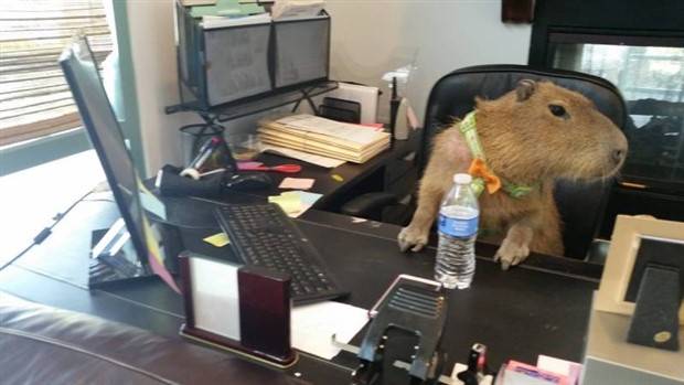 klyker picdump 7 5 2023 12 Klyker Picdump #1239 (53 photos)