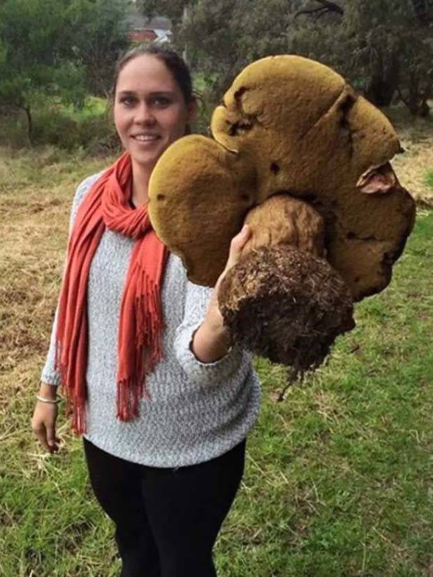 klyker picdump 7 5 2023 15 Klyker Picdump #1239 (53 photos)