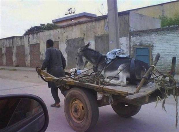 klyker picdump 7 5 2023 24 Klyker Picdump #1239 (53 photos)