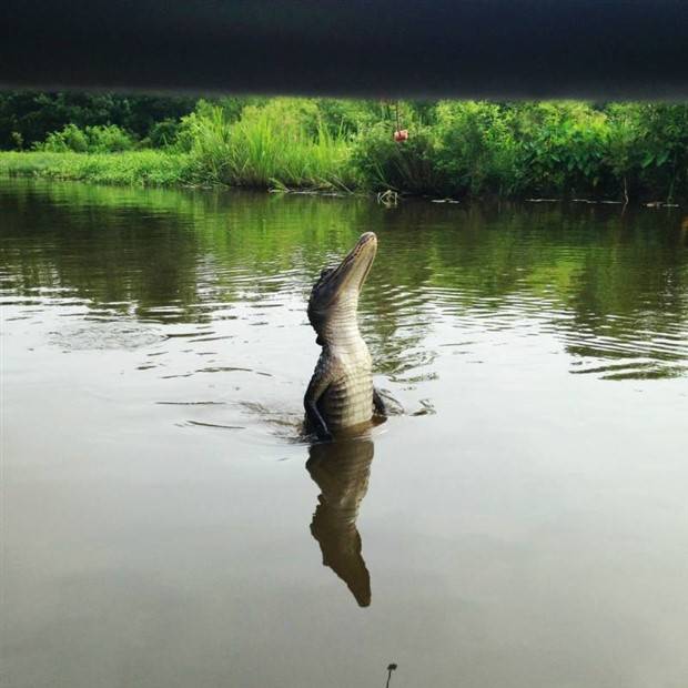 klyker picdump 7 5 2023 3 Klyker Picdump #1239 (53 photos)