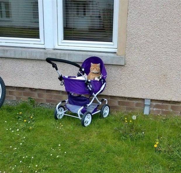 klyker picdump 7 5 2023 33 Klyker Picdump #1239 (53 photos)