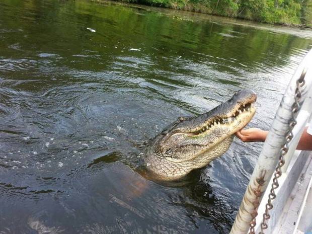 klyker picdump 7 5 2023 36 Klyker Picdump #1239 (53 photos)