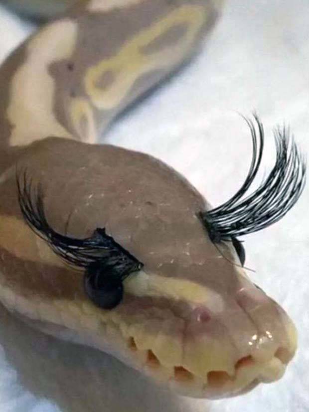 klyker picdump 7 5 2023 42 Klyker Picdump #1239 (53 photos)