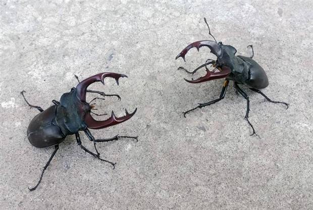 klyker picdump 7 5 2023 5 Klyker Picdump #1239 (53 photos)