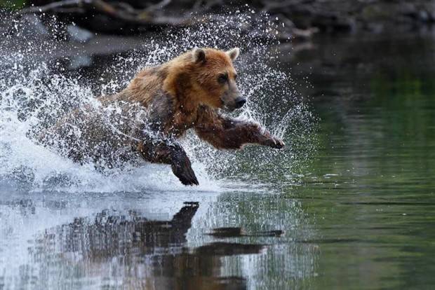 Klyker Picdump #1240 (54 photos)