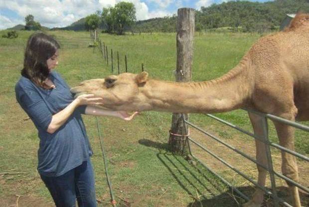 Klyker Picdump #1240 (54 photos)