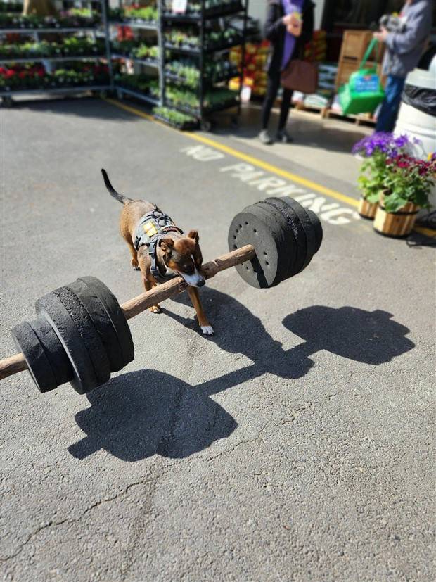 Klyker Picdump #1240 (54 photos)