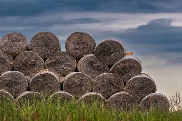 Klyker Picdump #1240 (54 photos)