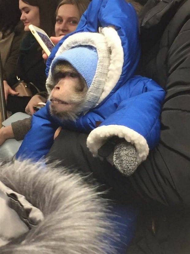 Klyker Picdump #1240 (54 photos)