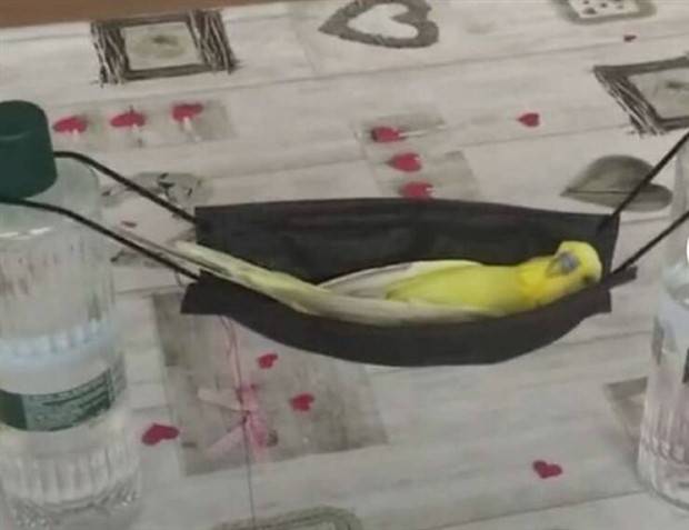 Klyker Picdump #1240 (54 photos)