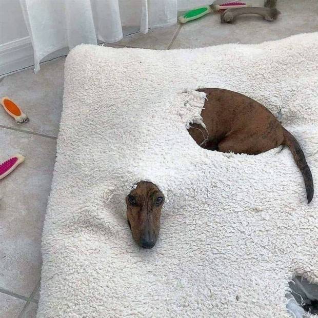 Klyker Picdump #1240 (54 photos)