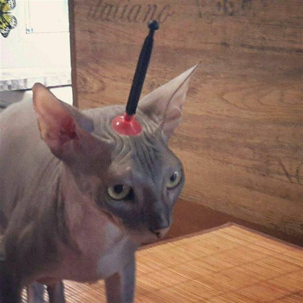 Klyker Picdump #1241 (55 photos)