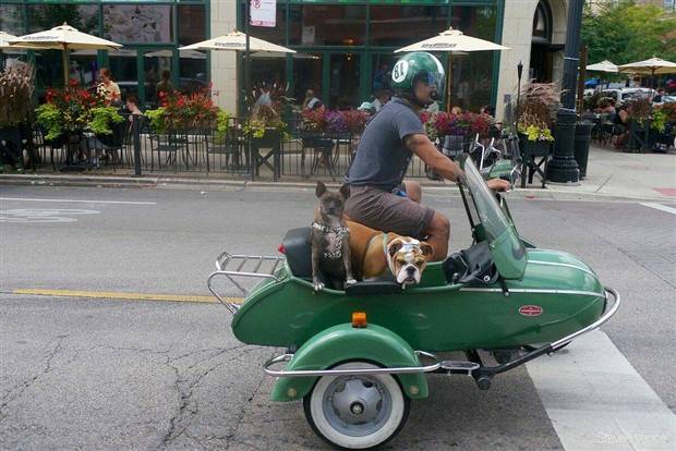 Klyker Picdump #1241 (55 photos)