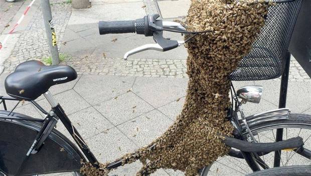 Klyker Picdump #1241 (55 photos)