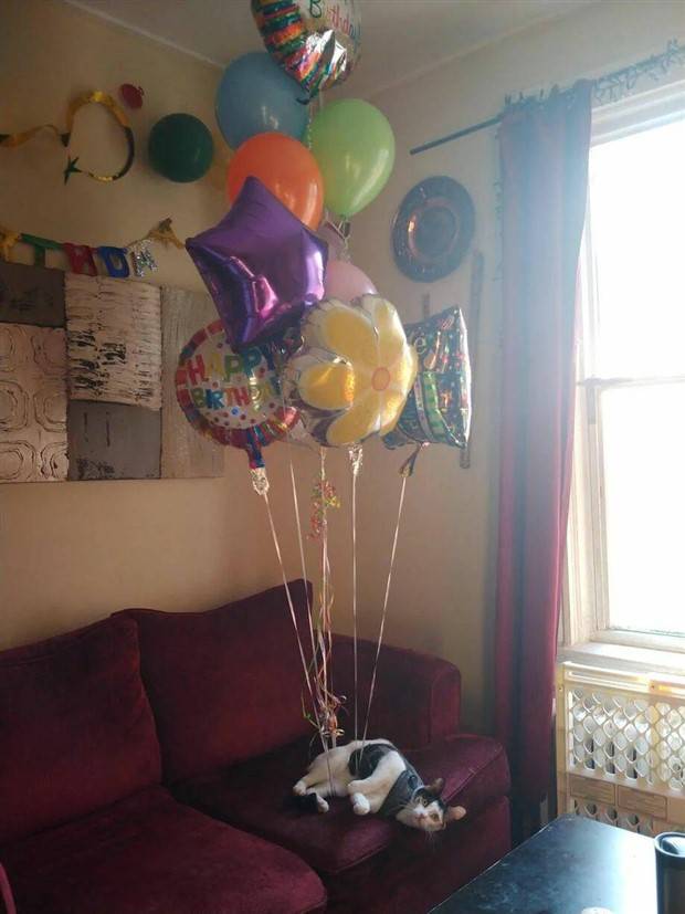 Klyker Picdump #1241 (55 photos)