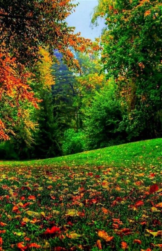 Amazing Landscapes That Leave Us Speechless #18 (35 photos)