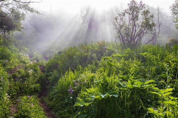 Amazing Landscapes That Leave Us Speechless #18 (35 photos)