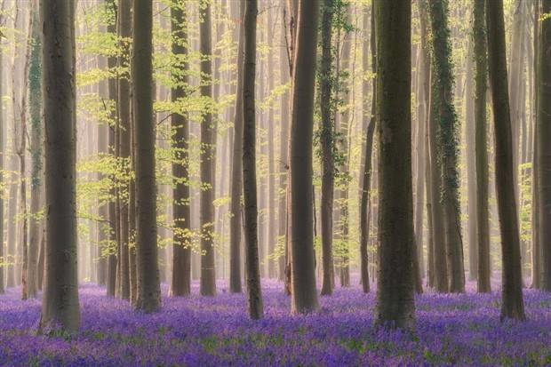 Amazing Landscapes That Leave Us Speechless #18 (35 photos)