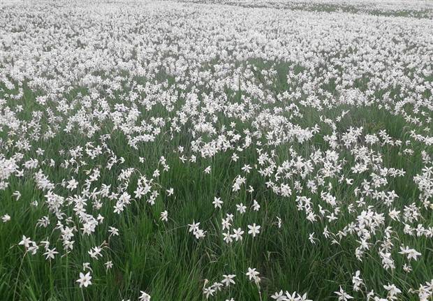 Amazing Landscapes That Leave Us Speechless #18 (35 photos)