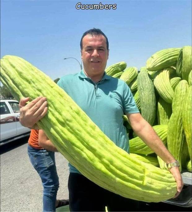 Interesting Pictures With Captions #60 (33 photos)