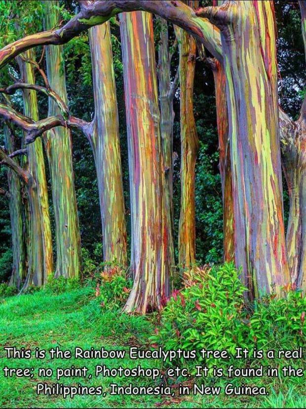 Interesting Pictures With Captions #60 (33 photos)