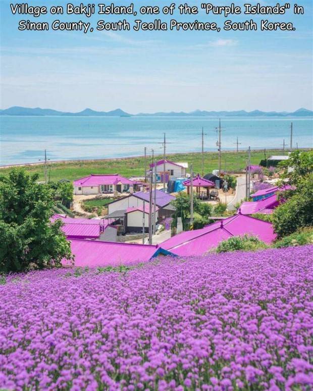 Interesting Pictures With Captions #60 (33 photos)