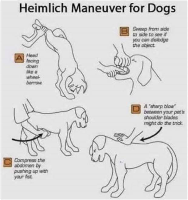 Random Charts And Maps Filled With Interesting Data #59 (24 photos)