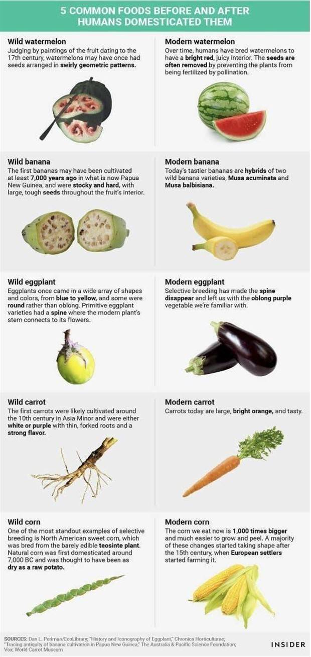 Random Charts And Maps Filled With Interesting Data #59 (24 photos)