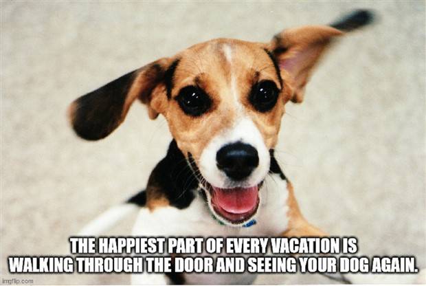 shower thoughts 5 Funny Shower Thoughts #59 (39 photos)