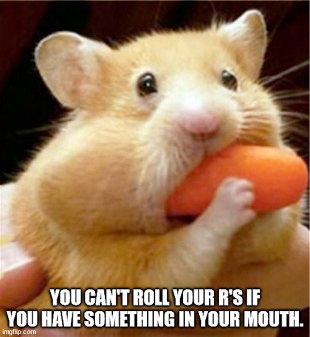 shower thoutghs 33 Funny Shower Thoughts #57 (38 photos)