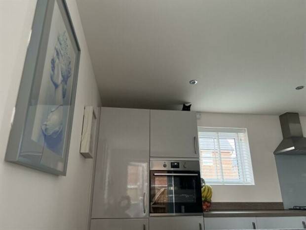 Meanwhile in the UK (28 photos)